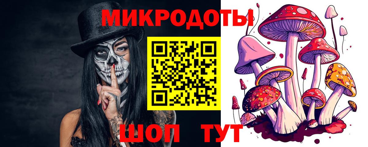 Конаково  Галлюциногенные грибы Psilocybe  Вход с VPN 